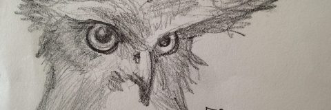 brown-fish-owl